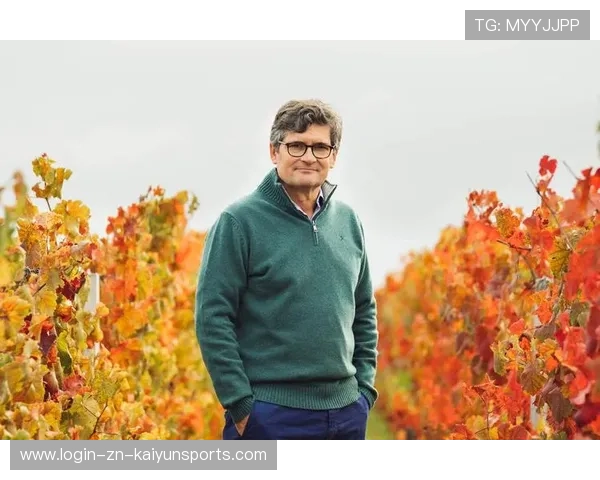 布朗夜晚值得尊重