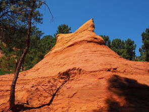 开云在线登入-一日英超动态阿莫林自信发声转会话题升温，阿莫子林